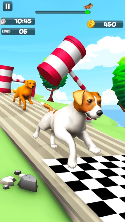Dog Run Racer - Fun Race 3D screenshot-3