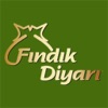 Fındık Diyarı