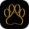 Pet Social Media App