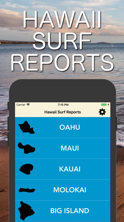 Hawaii Surf Reports