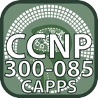 CCNP 300 085 CAPPS for CisCo