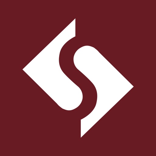 Security Bank Icon