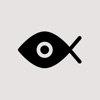 Icon FishFilm - Fisheye Camera