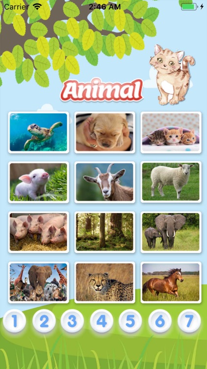 Learn Animal Vocabulary Eng