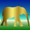 Elephants supposedly have excellent ability to recall, but this game is not for elephants