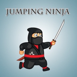 Ninja Training Course