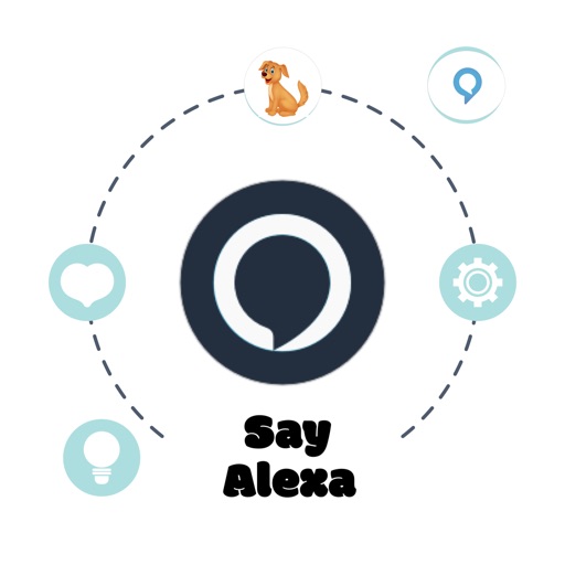 Say for Alexa commands Widget Icon