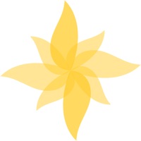 Jornadas FCCN 2021