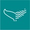 The Irish Whale and Dolphin Group (IWDG) reporting app is a tool for reporting sightings and strandings of whales, dolphins and porpoises (cetaceans) in Irish waters