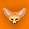 Fennec Fox