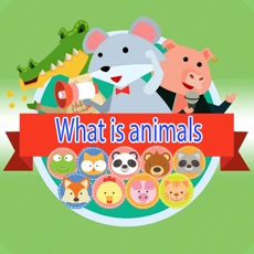 Activities of What is animals name?