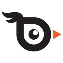 BirdieNow: Find & Book Pros