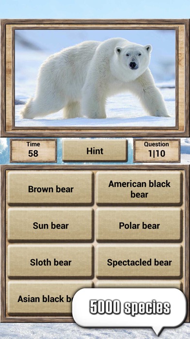 Animal Kingdom - Quiz Game screenshot 2