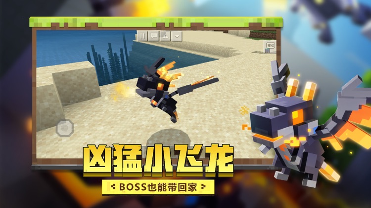 我的世界-周年庆 screenshot-4