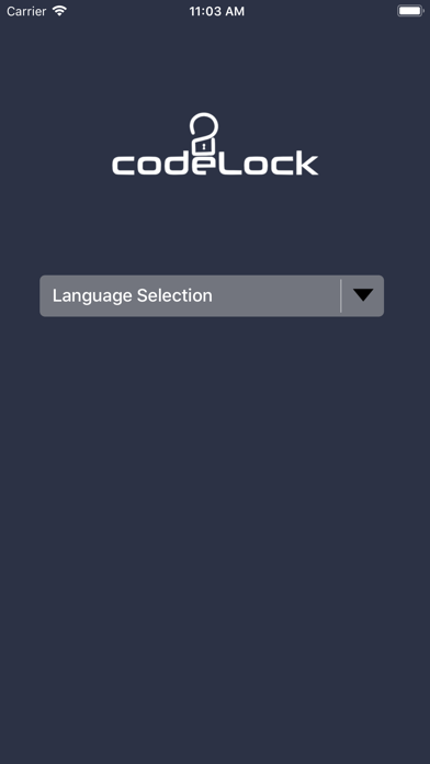 CodeLock screenshot 2