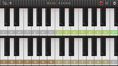 Real Piano™ Lite screenshot 2