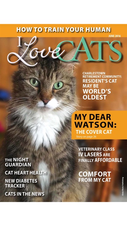 I Love Cats Magazine screenshot-4