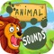 Animal Sounds – Guessing Game