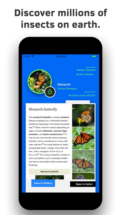Insect Identification