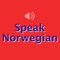 Icon Fast - Speak Norwegian