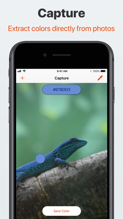 Colordrop 2