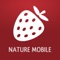 The ultimate FIELD GUIDE to Wild Berries, Fruits and Herbs of Europe and North America, all in the palm of your hand