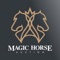 Magic Horse Auction is the most exciting way to buy a horse because we give the buyer the tools they need to make a purchase they can feel good about