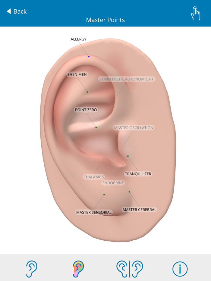 Auriculo 360 - The Living Ear