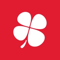 my actual - Offres d’Emploi