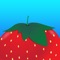 This app is designed to help strawberry producers in Florida and Georgia, USA to generate irrigation schedule recommendations based on real-time weather and short-term forecasted data to better meet the plant water needs of a given period, conserving water while also minimizing nutrient leaching from the root zone due to excessive irrigation