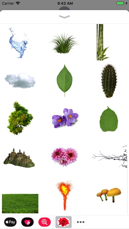 Best Nature Stickers Pack