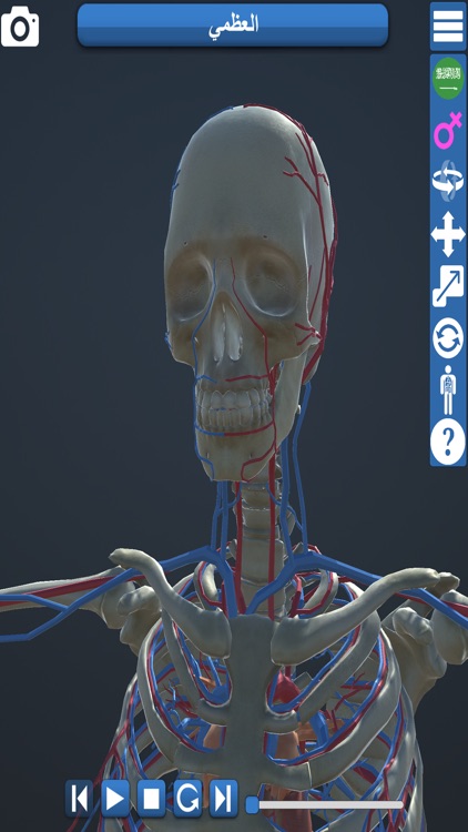 Educational Anatomy 3D screenshot-3