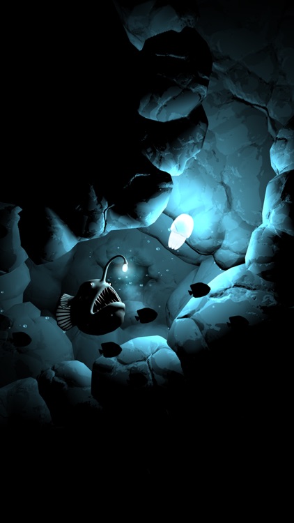Seashine screenshot-0