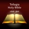 Icon Telugu Bible Indian Version