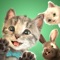 *****The Educational App Store said "Overall Rating of the application 5 Stars" "This application comes highly recommended by The Educational Appstore