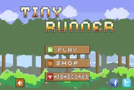 Game screenshot Tiny Runner mod apk