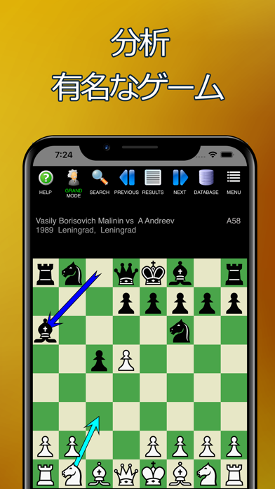 チェス Pro - Mastersoftのおすすめ画像10