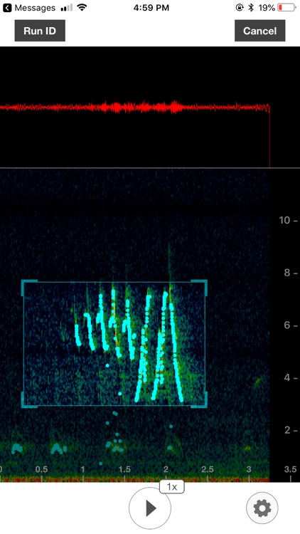 Song Sleuth: Auto Bird Song ID