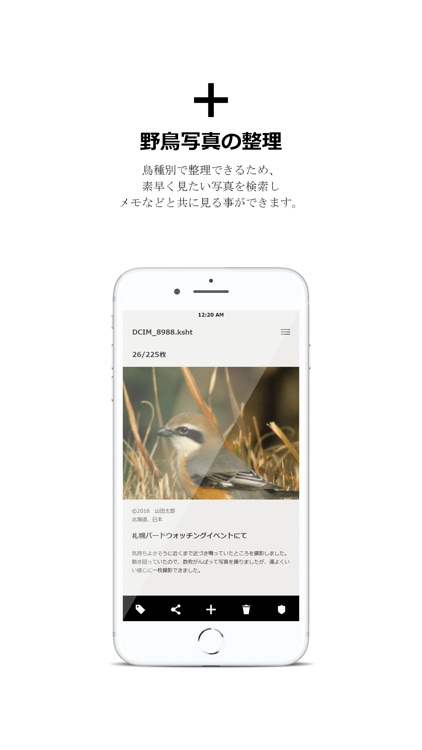 自分野鳥図鑑 By Kasah Technology Inc