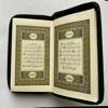 Quran Mohammed Siddiq Minshawi