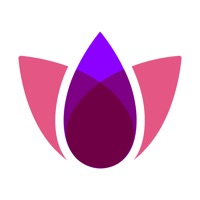 Harmony Mobile Protect на пк