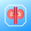 Kidney Stone Scoring