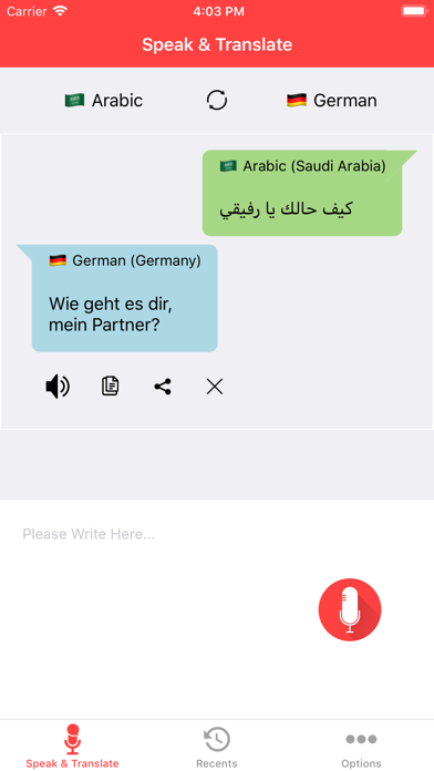 All Languages Voice Translator screenshot 2