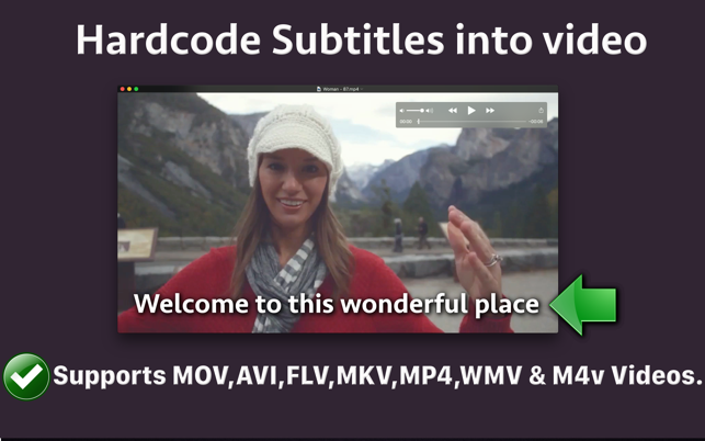 Video Subtitle Merger