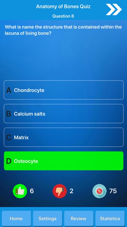 Skeletal System Anatomy screenshot-4