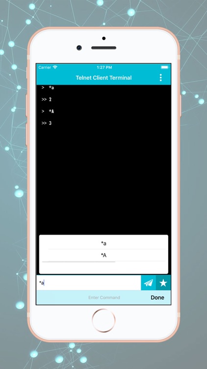 Telnet Client Terminal