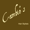 Cambio's Hair