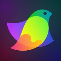 Amadine: Vector Design and Art pour PC