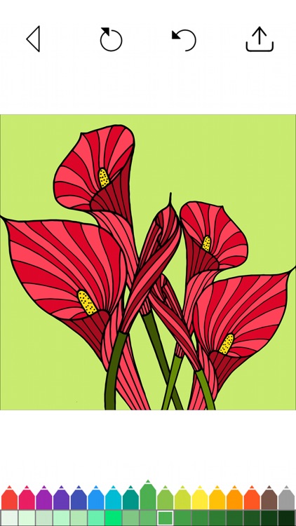 Flower Coloring Book Games screenshot-6