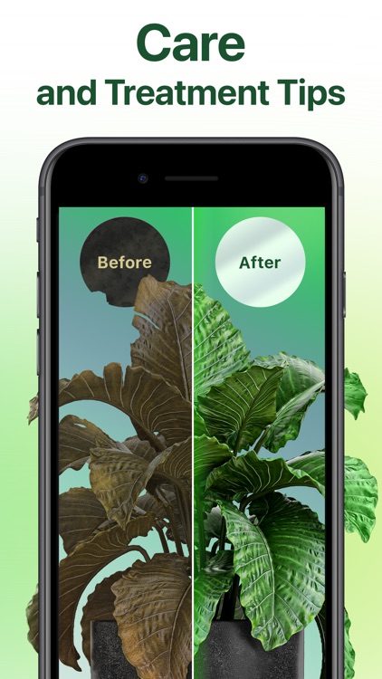 NatureID: Plant Identification